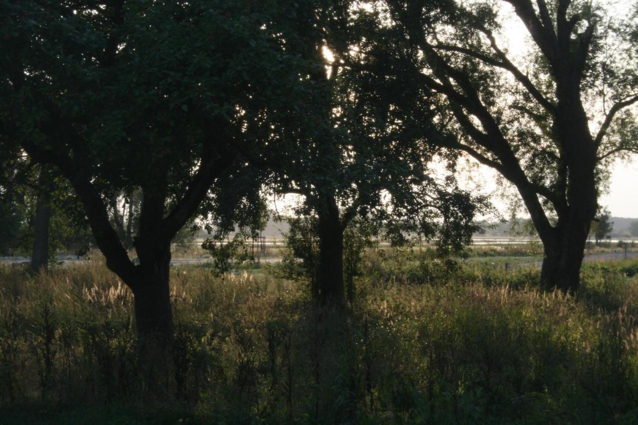 Landhaus An Der Wiek Poseritz المظهر الخارجي الصورة